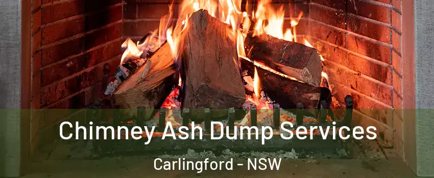 Chimney Ash Dump Services Carlingford - NSW