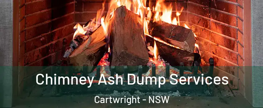 Chimney Ash Dump Services Cartwright - NSW