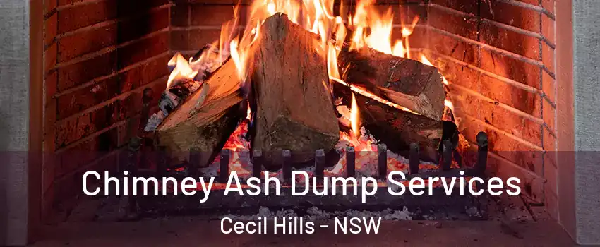 Chimney Ash Dump Services Cecil Hills - NSW