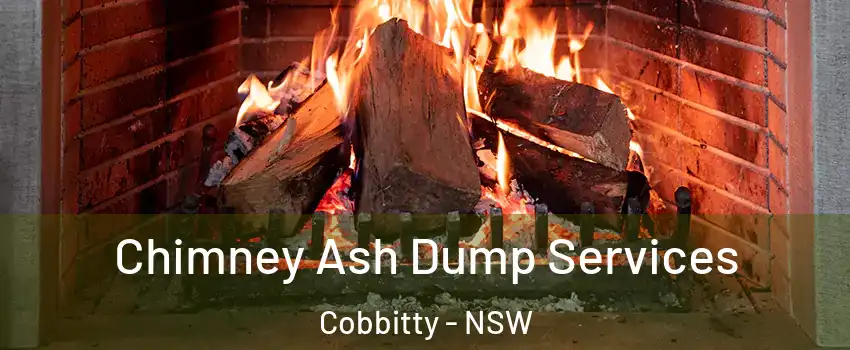 Chimney Ash Dump Services Cobbitty - NSW