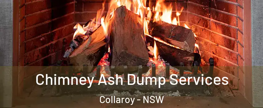 Chimney Ash Dump Services Collaroy - NSW