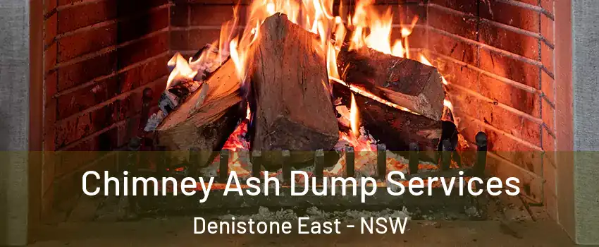 Chimney Ash Dump Services Denistone East - NSW