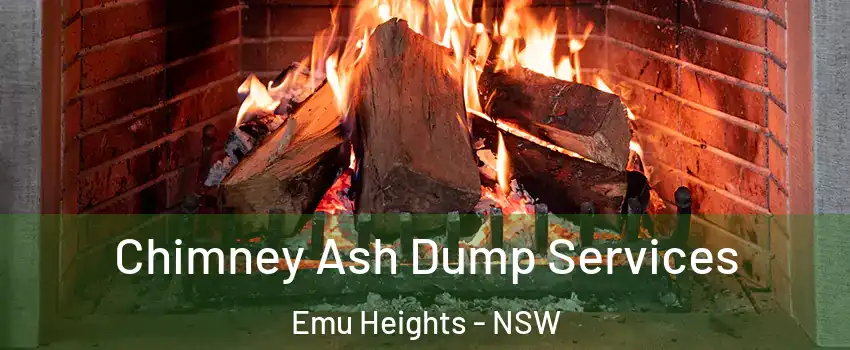 Chimney Ash Dump Services Emu Heights - NSW