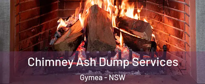 Chimney Ash Dump Services Gymea - NSW