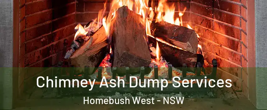 Chimney Ash Dump Services Homebush West - NSW