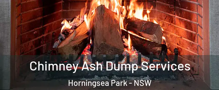 Chimney Ash Dump Services Horningsea Park - NSW
