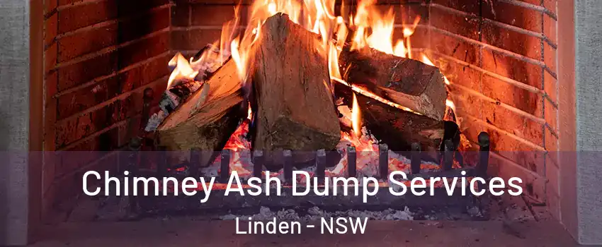 Chimney Ash Dump Services Linden - NSW