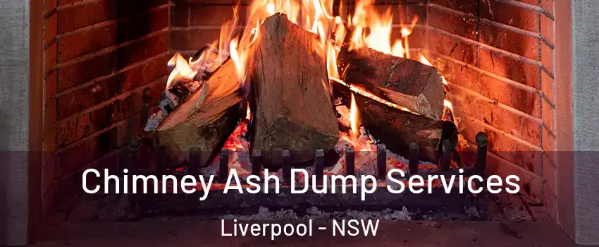Chimney Ash Dump Services Liverpool - NSW