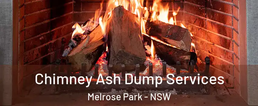 Chimney Ash Dump Services Melrose Park - NSW