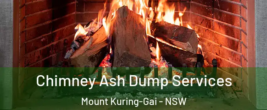 Chimney Ash Dump Services Mount Kuring-Gai - NSW