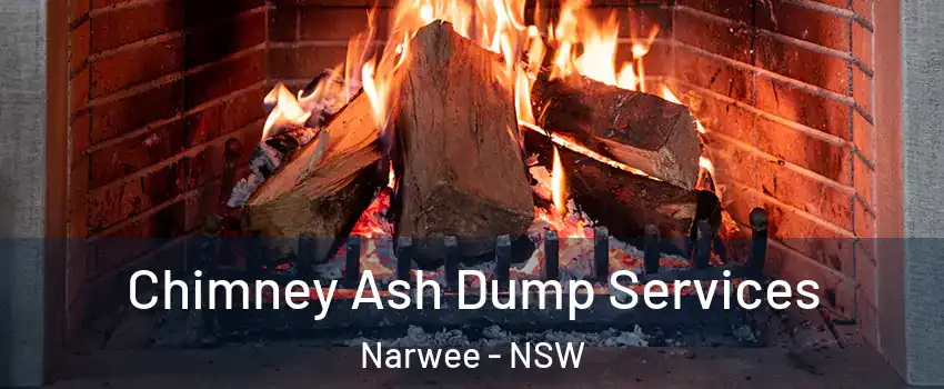 Chimney Ash Dump Services Narwee - NSW