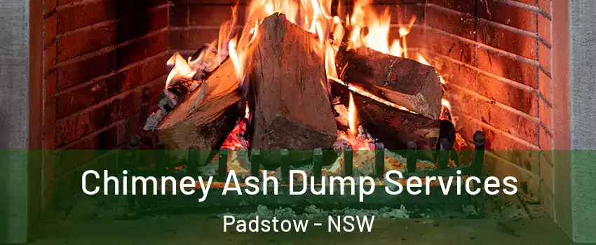 Chimney Ash Dump Services Padstow - NSW