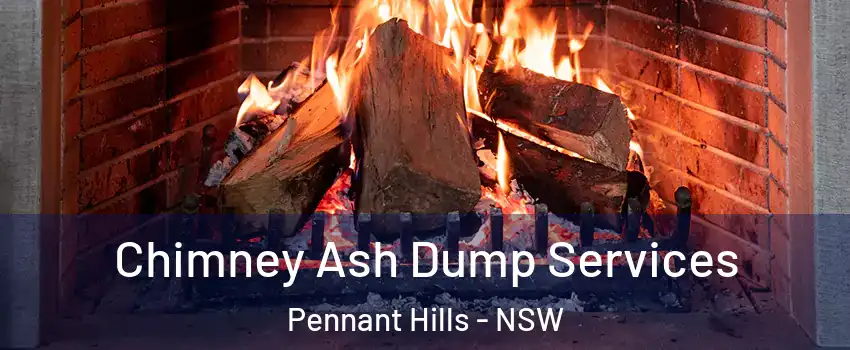 Chimney Ash Dump Services Pennant Hills - NSW