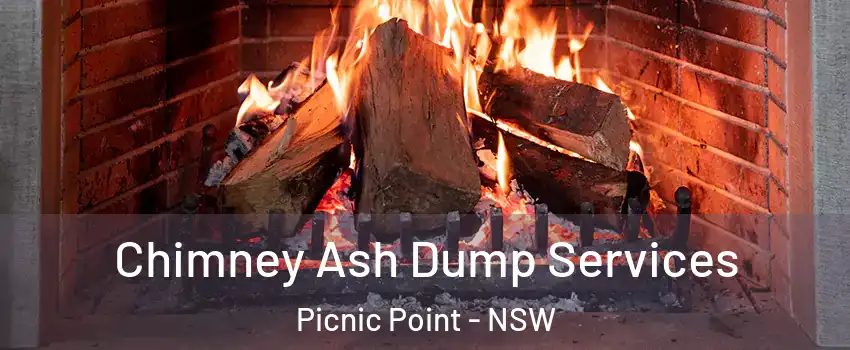 Chimney Ash Dump Services Picnic Point - NSW