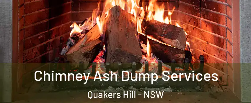 Chimney Ash Dump Services Quakers Hill - NSW
