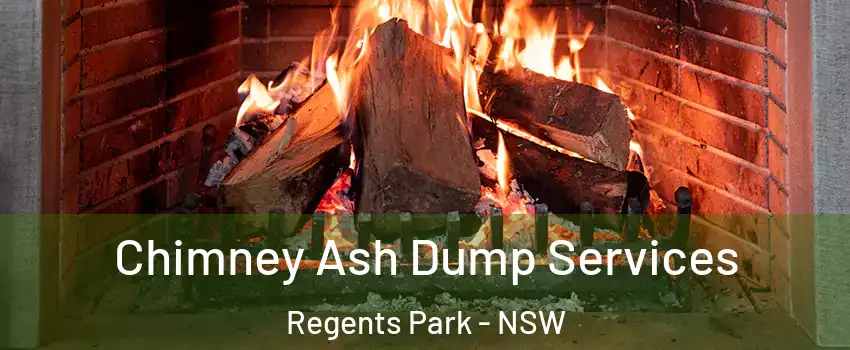 Chimney Ash Dump Services Regents Park - NSW