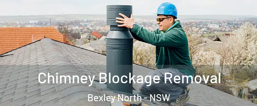 Chimney Blockage Removal Bexley North - NSW