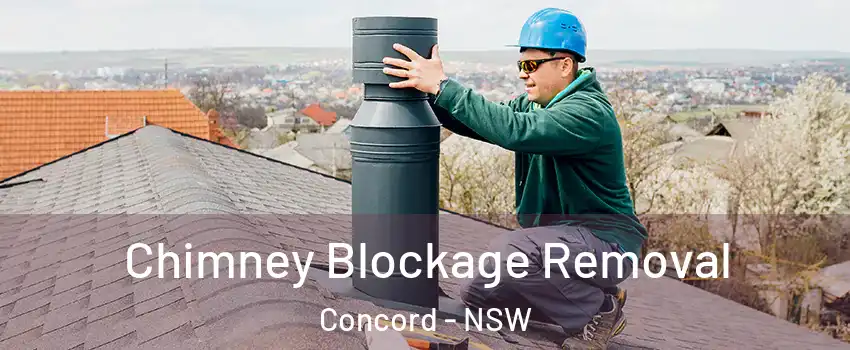Chimney Blockage Removal Concord - NSW