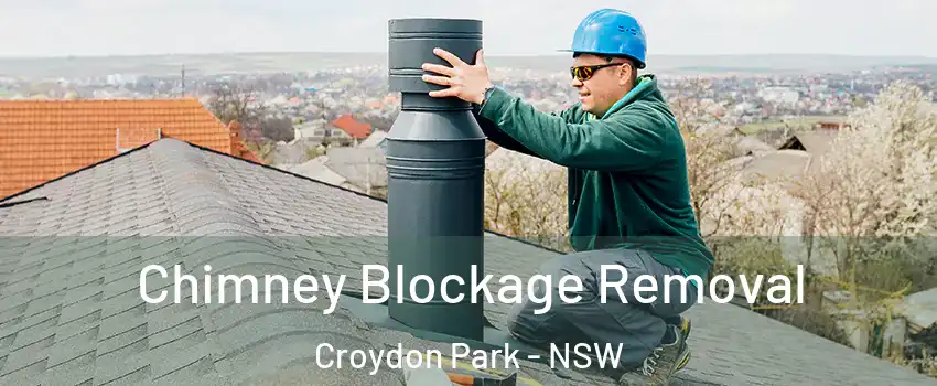 Chimney Blockage Removal Croydon Park - NSW