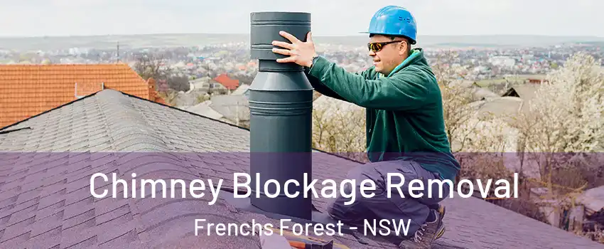 Chimney Blockage Removal Frenchs Forest - NSW