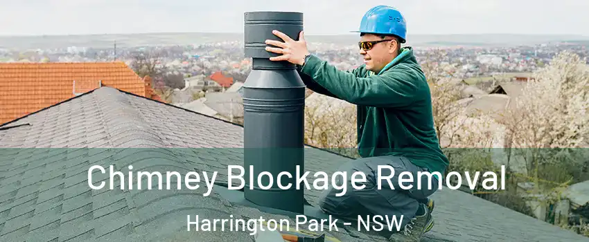 Chimney Blockage Removal Harrington Park - NSW