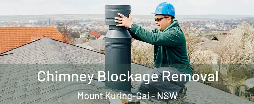 Chimney Blockage Removal Mount Kuring-Gai - NSW
