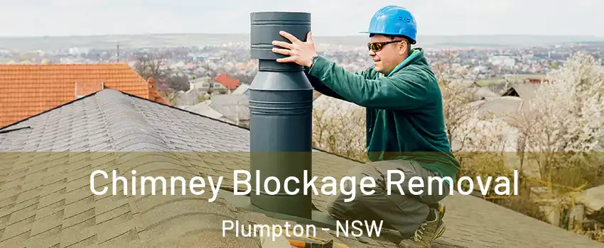 Chimney Blockage Removal Plumpton - NSW