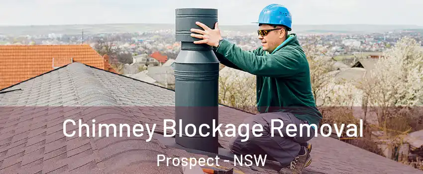Chimney Blockage Removal Prospect - NSW