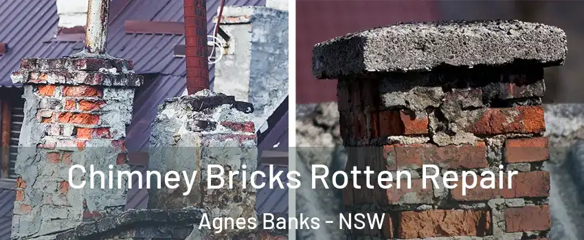 Chimney Bricks Rotten Repair Agnes Banks - NSW
