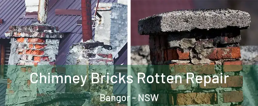 Chimney Bricks Rotten Repair Bangor - NSW