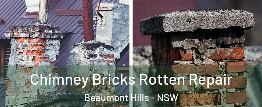 Chimney Bricks Rotten Repair Beaumont Hills - NSW