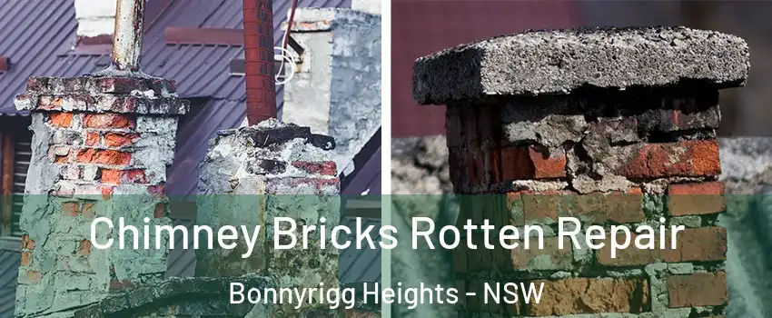 Chimney Bricks Rotten Repair Bonnyrigg Heights - NSW
