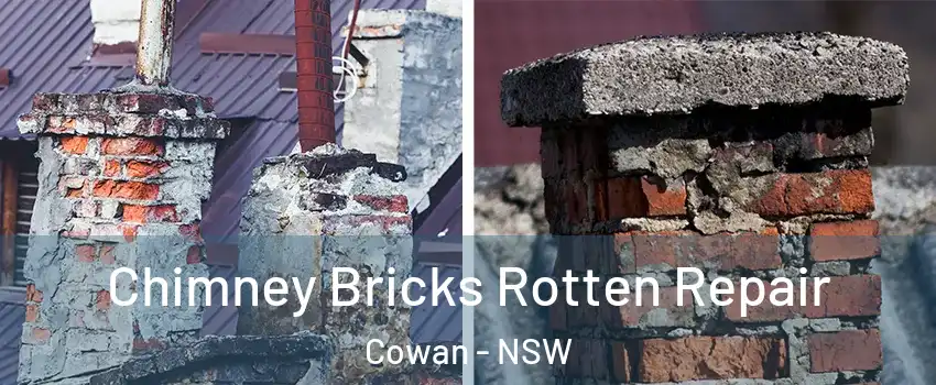 Chimney Bricks Rotten Repair Cowan - NSW