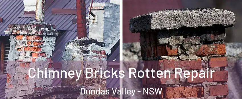 Chimney Bricks Rotten Repair Dundas Valley - NSW