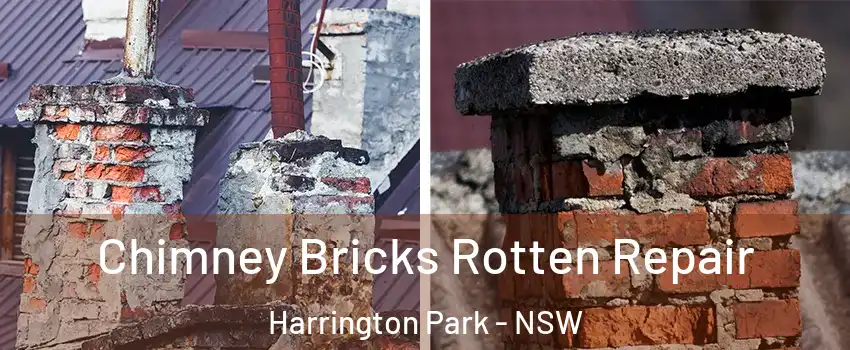 Chimney Bricks Rotten Repair Harrington Park - NSW