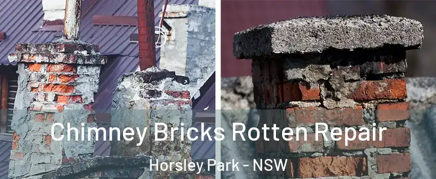Chimney Bricks Rotten Repair Horsley Park - NSW