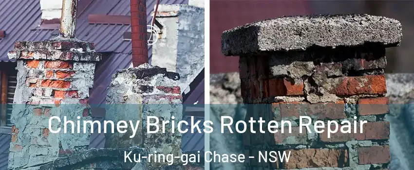 Chimney Bricks Rotten Repair Ku-ring-gai Chase - NSW