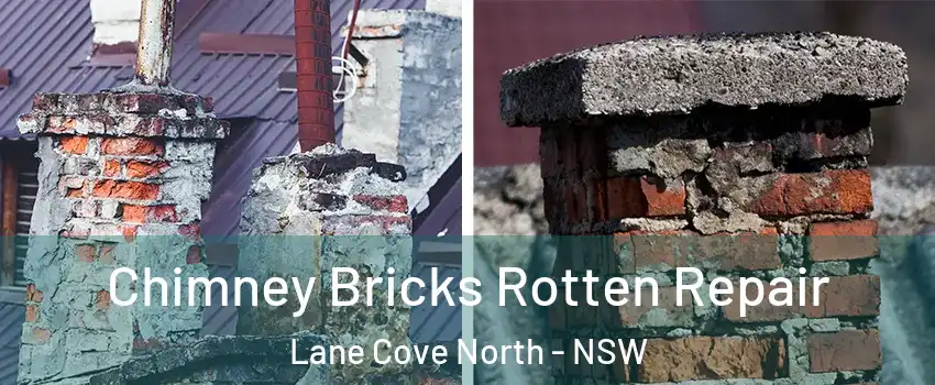 Chimney Bricks Rotten Repair Lane Cove North - NSW