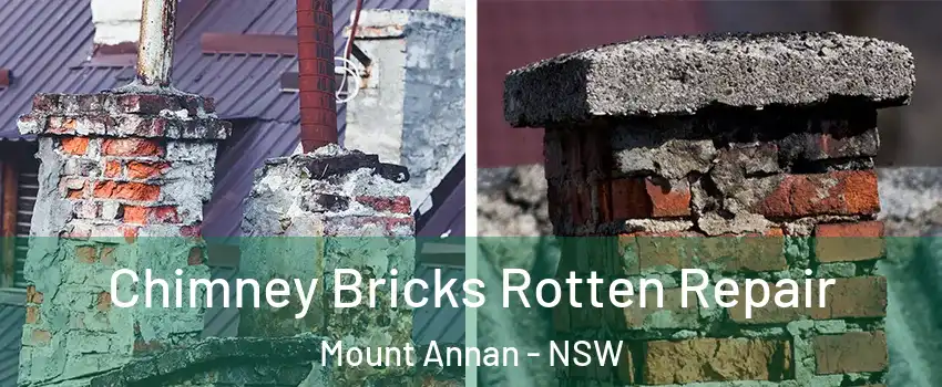 Chimney Bricks Rotten Repair Mount Annan - NSW