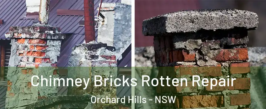 Chimney Bricks Rotten Repair Orchard Hills - NSW