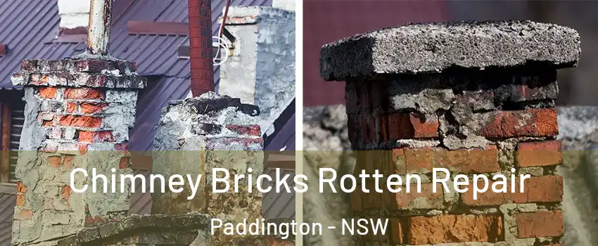 Chimney Bricks Rotten Repair Paddington - NSW