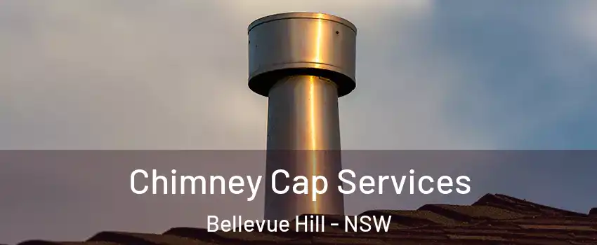 Chimney Cap Services Bellevue Hill - NSW