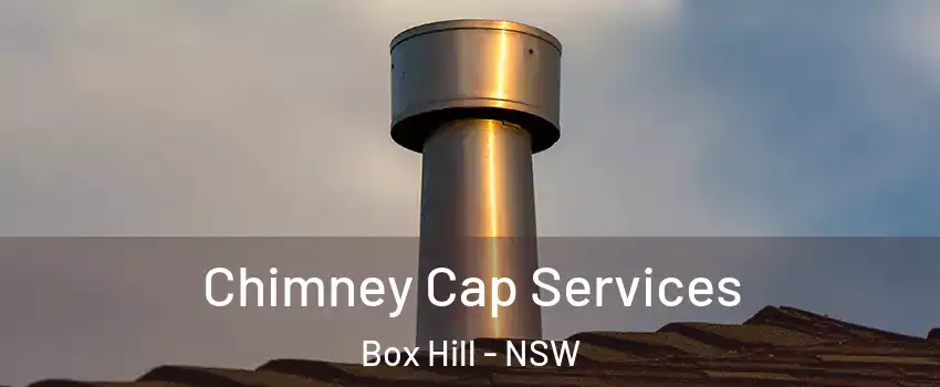 Chimney Cap Services Box Hill - NSW