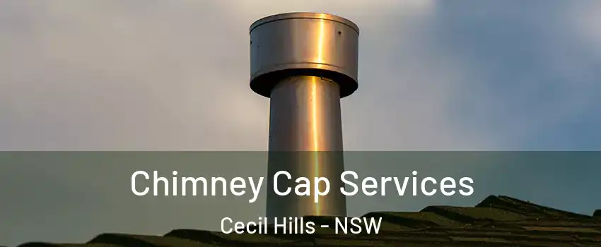 Chimney Cap Services Cecil Hills - NSW