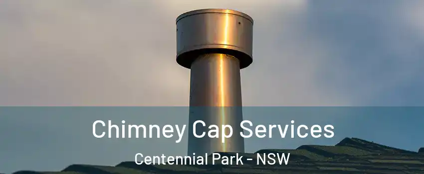 Chimney Cap Services Centennial Park - NSW