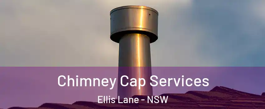 Chimney Cap Services Ellis Lane - NSW