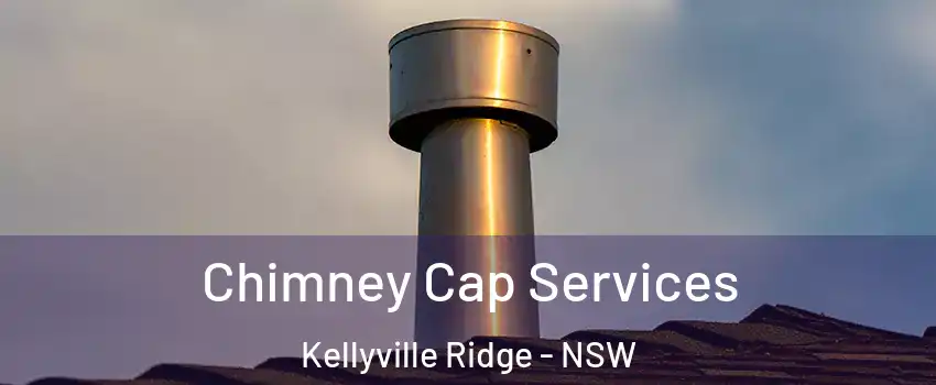 Chimney Cap Services Kellyville Ridge - NSW
