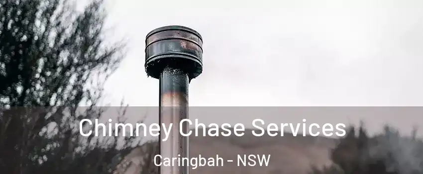 Chimney Chase Services Caringbah - NSW