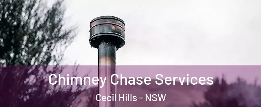  Chimney Chase Services Cecil Hills - NSW
