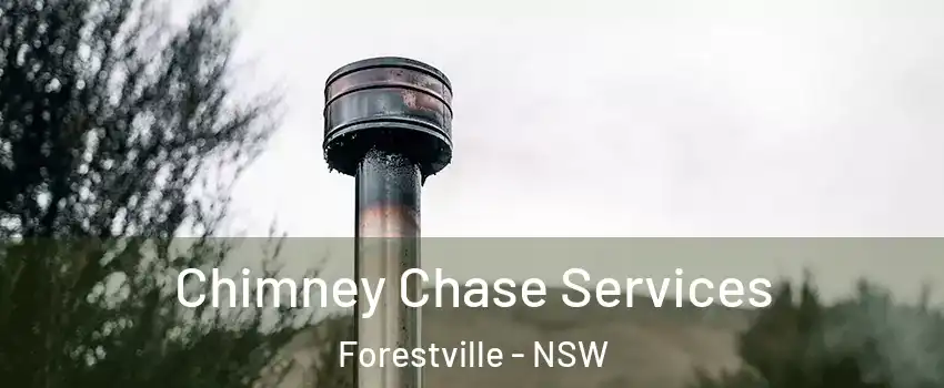 Chimney Chase Services Forestville - NSW